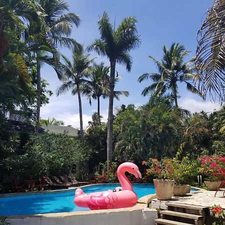 Cabarete Surf Camp Hotel Zewnętrze zdjęcie