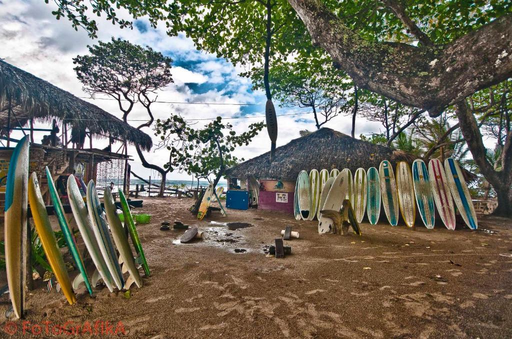 Cabarete Surf Camp Hotel Zewnętrze zdjęcie