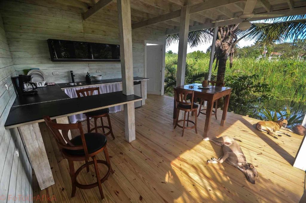 Cabarete Surf Camp Hotel Zewnętrze zdjęcie