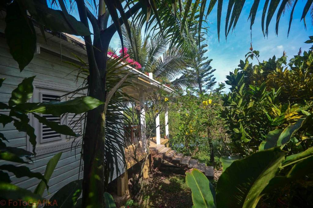 Cabarete Surf Camp Hotel Zewnętrze zdjęcie
