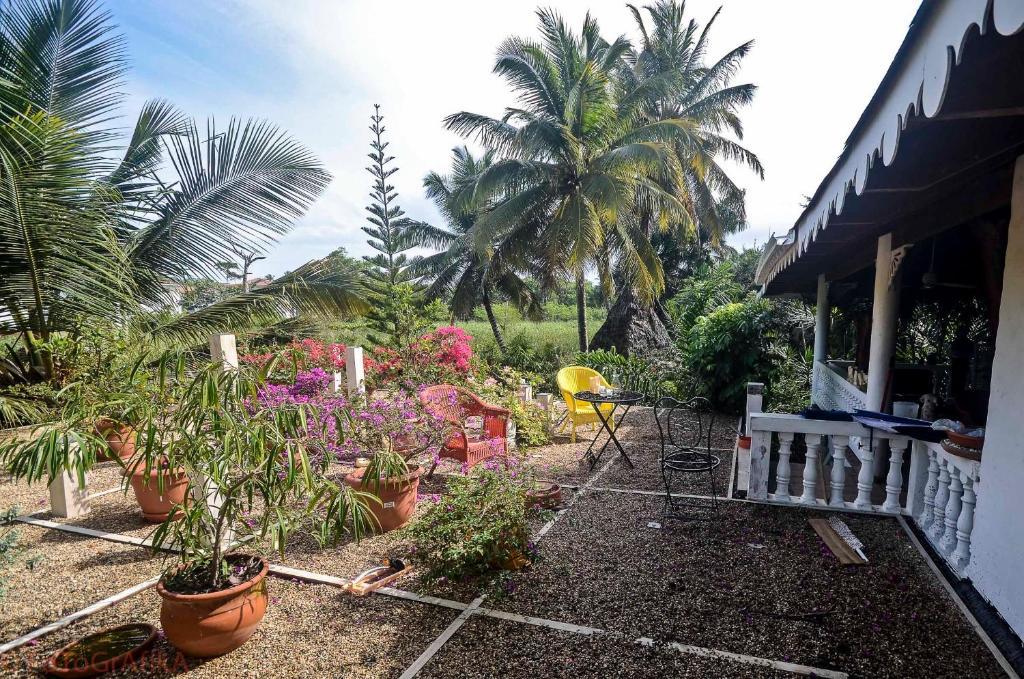 Cabarete Surf Camp Hotel Zewnętrze zdjęcie