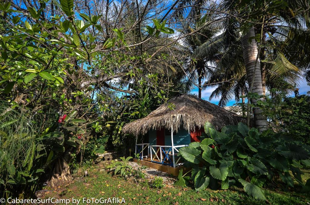 Cabarete Surf Camp Hotel Zewnętrze zdjęcie