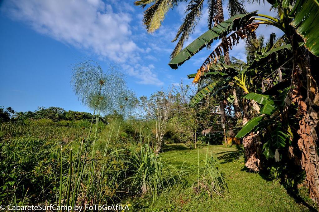 Cabarete Surf Camp Hotel Zewnętrze zdjęcie