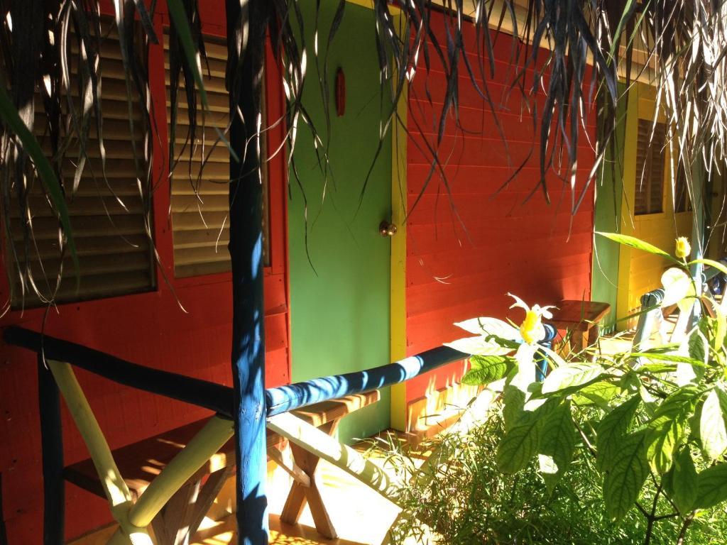 Cabarete Surf Camp Hotel Zewnętrze zdjęcie