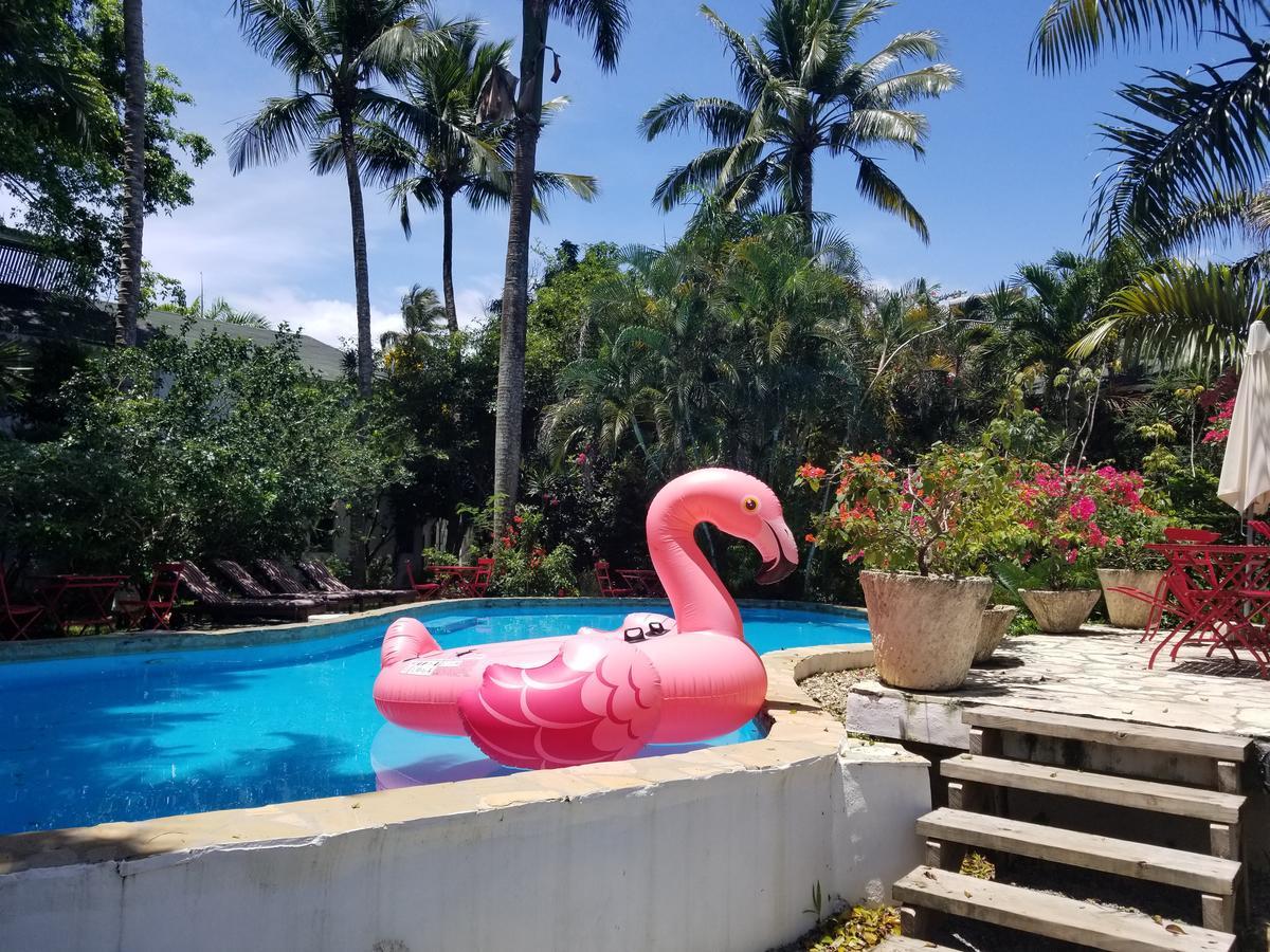 Cabarete Surf Camp Hotel Zewnętrze zdjęcie