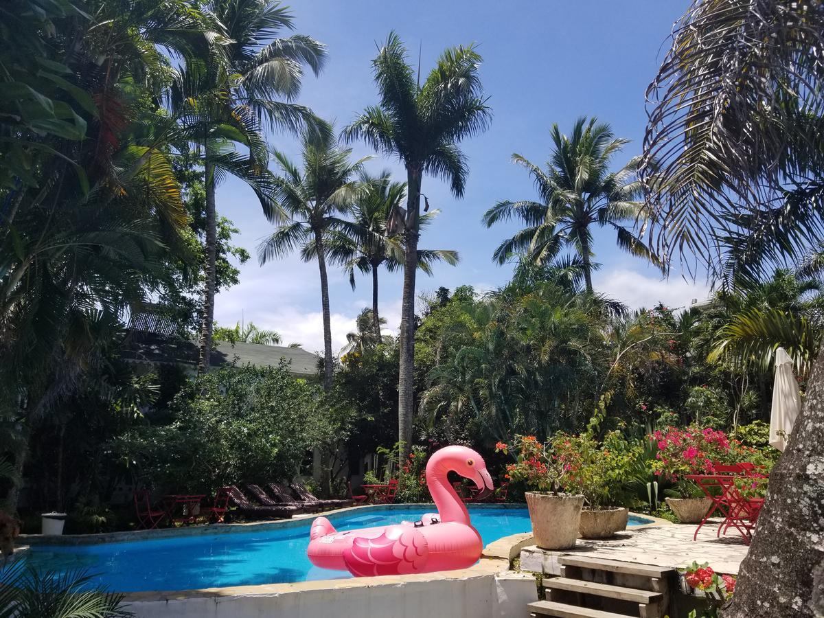 Cabarete Surf Camp Hotel Zewnętrze zdjęcie