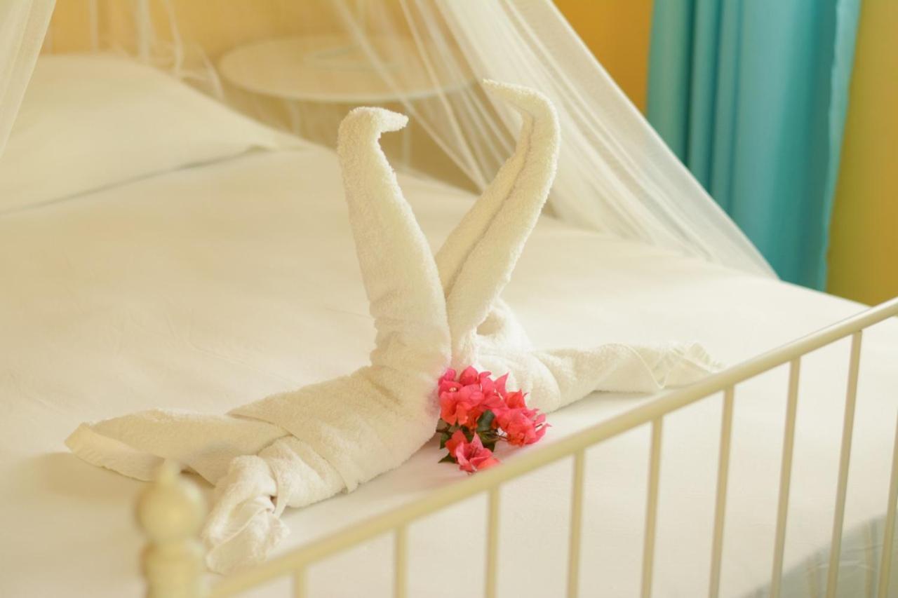 Cabarete Surf Camp Hotel Zewnętrze zdjęcie