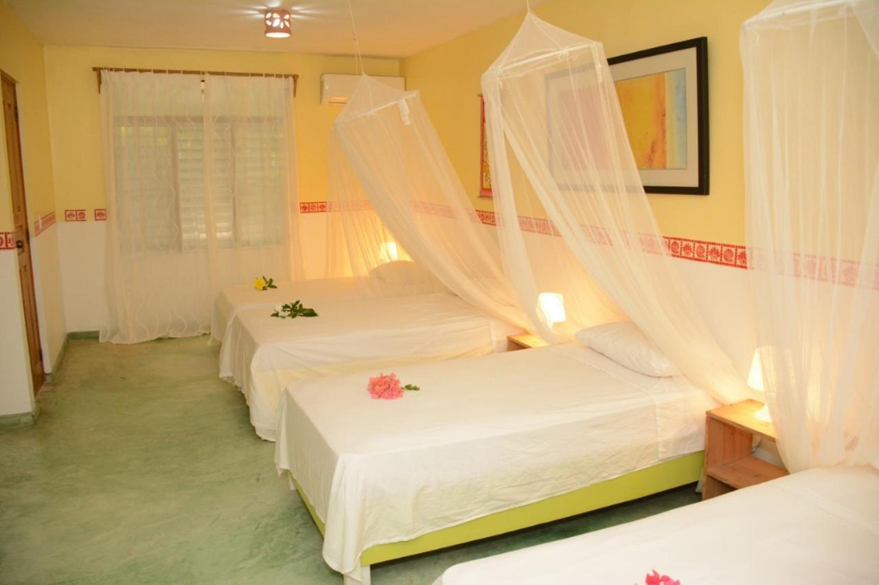 Cabarete Surf Camp Hotel Zewnętrze zdjęcie